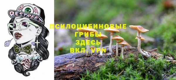 дмт Каменка