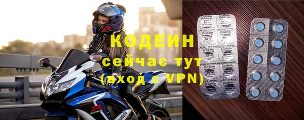 дмт Каменка