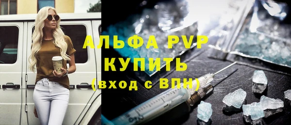 дмт Каменка