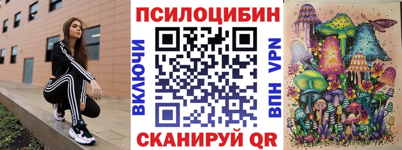 Купить закладки  Альметьевск  Псилоцибиновые грибы Magic Shrooms 